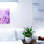 Easo 산세바스티안