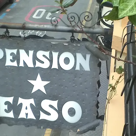 Pensionat Easo 4*