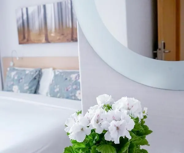 게스트하우스 Easo 4*