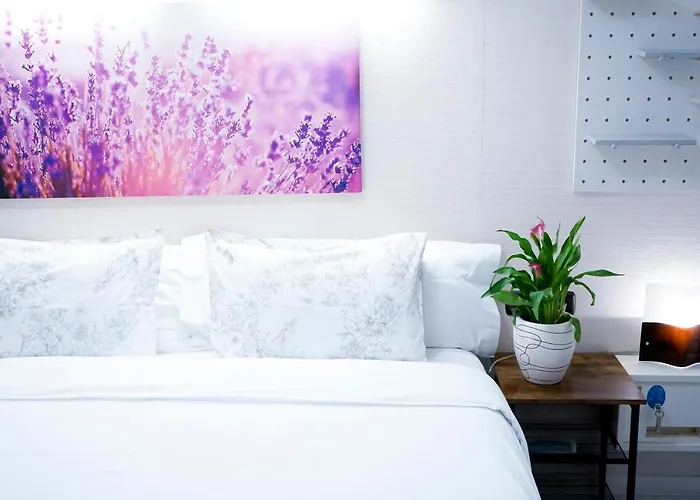 게스트하우스 Easo 산세바스티안